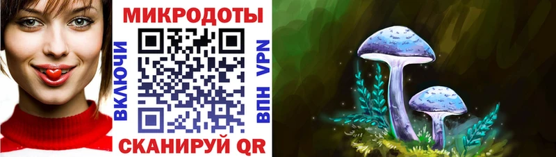 хочу наркоту  Калининск  Галлюциногенные грибы Psilocybine cubensis 